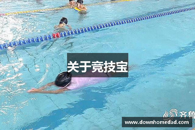关于竞技宝